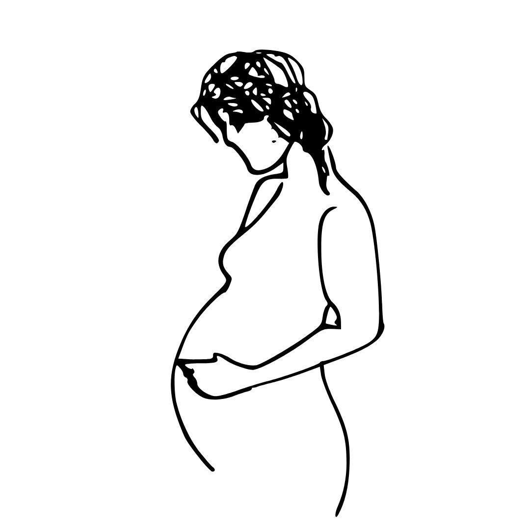 dessin grossesse